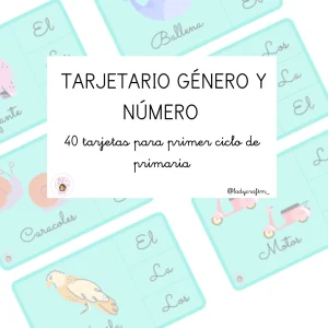 Tarjetario Género y Número | Ladycraft