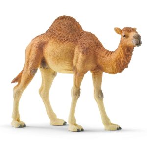 Dromedario coleccionable - Schleich