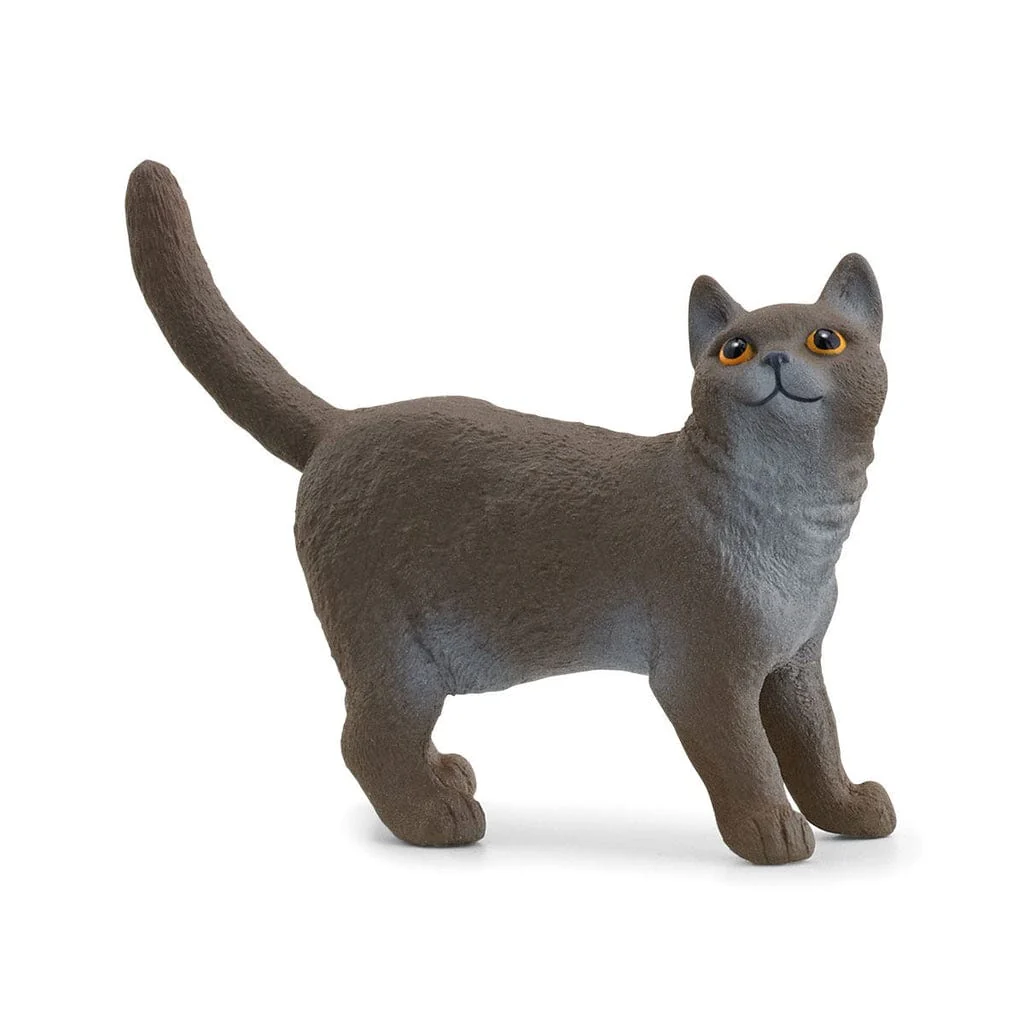 Gato británico de pelo corto coleccionable Farm World - Schleich