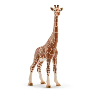 Jirafa hembra coleccionable - Schleich